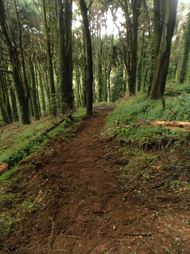 new section on the 2nd part of the trail