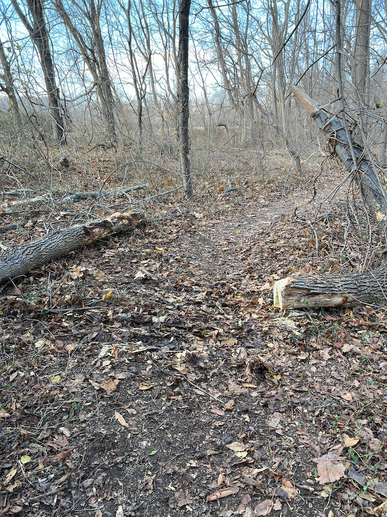 in Mineola, New York, United States photo by meanboy06 Pinkbike