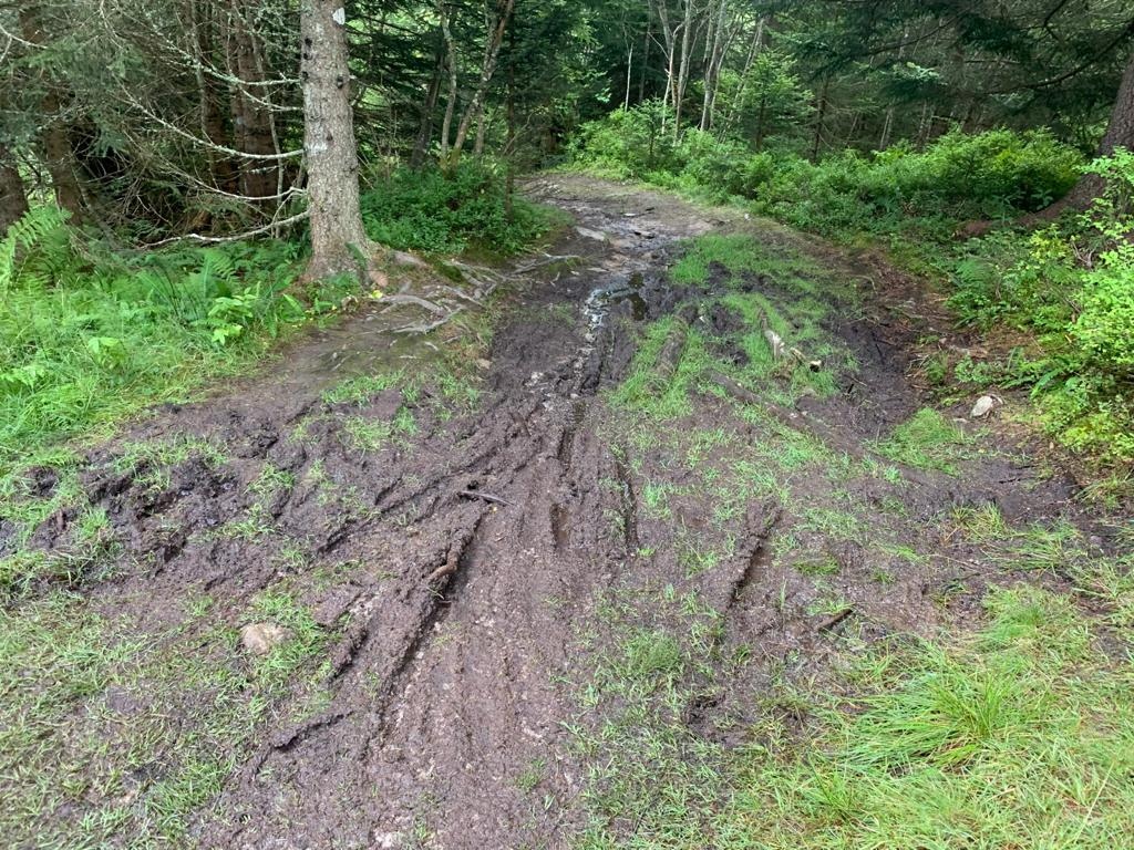 Damage to Contamines-Montjoie nature reserve. Images provided by ASTERS.