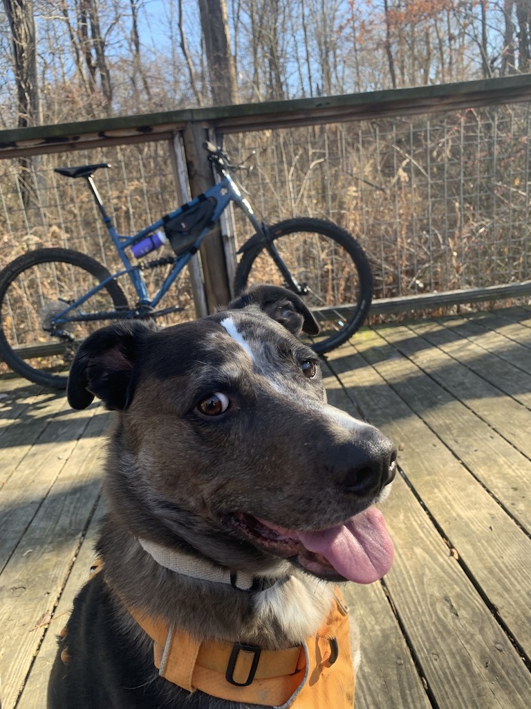 Out riding with Cooper