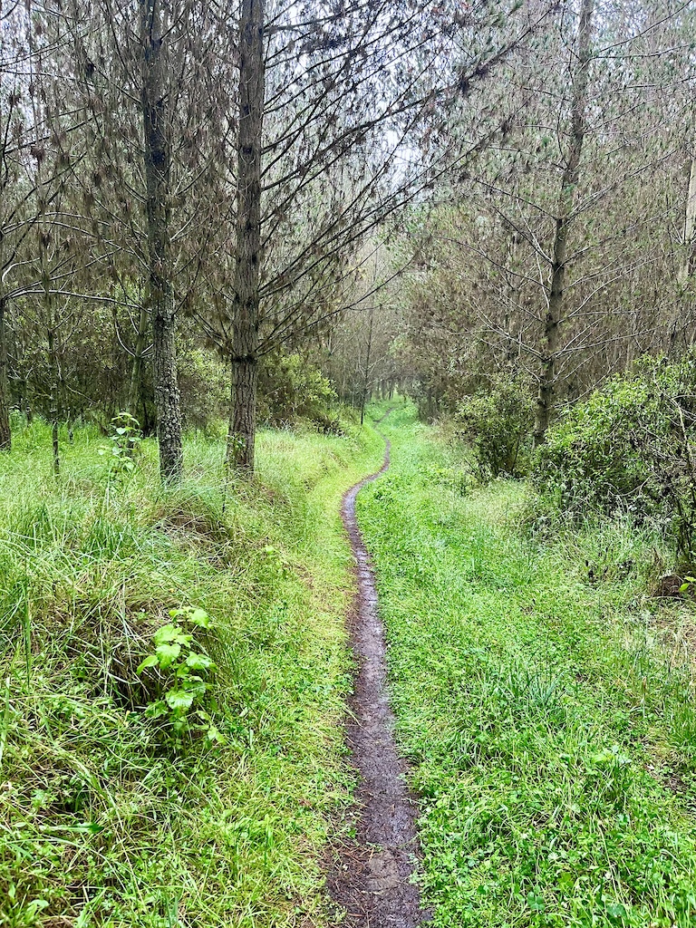 the single track of Cotopaxi bike park
