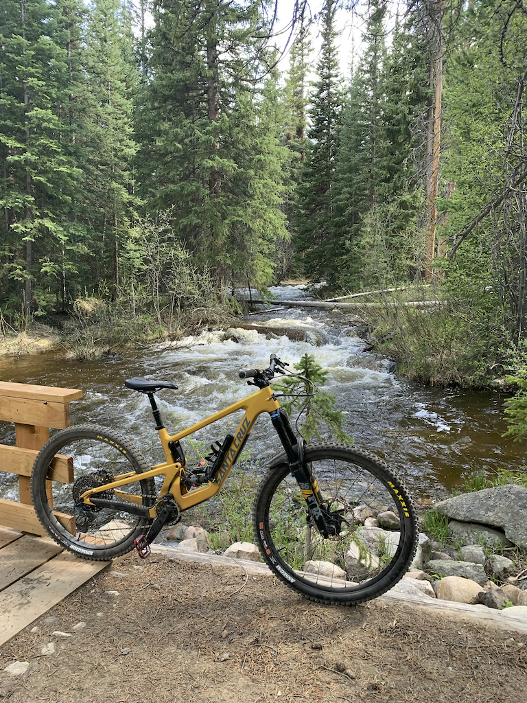 Bronson MX