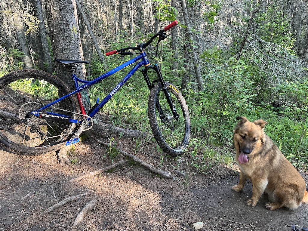 me and my pup