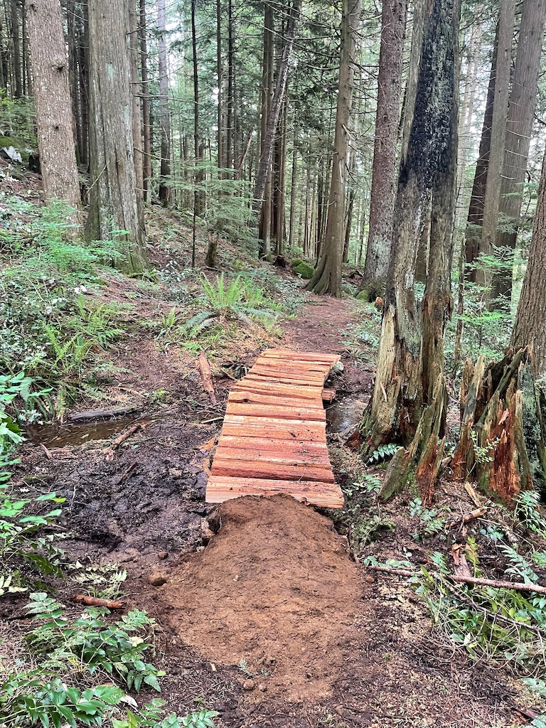 Bridge rebuild - FVMBA Trail Crew