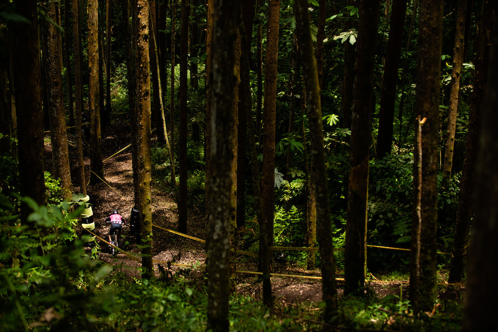 Downhill de las Flores by DH1
