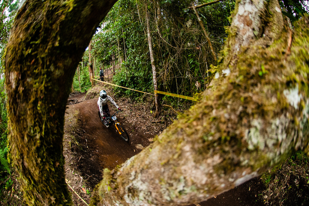 Downhill de las Flores by DH1