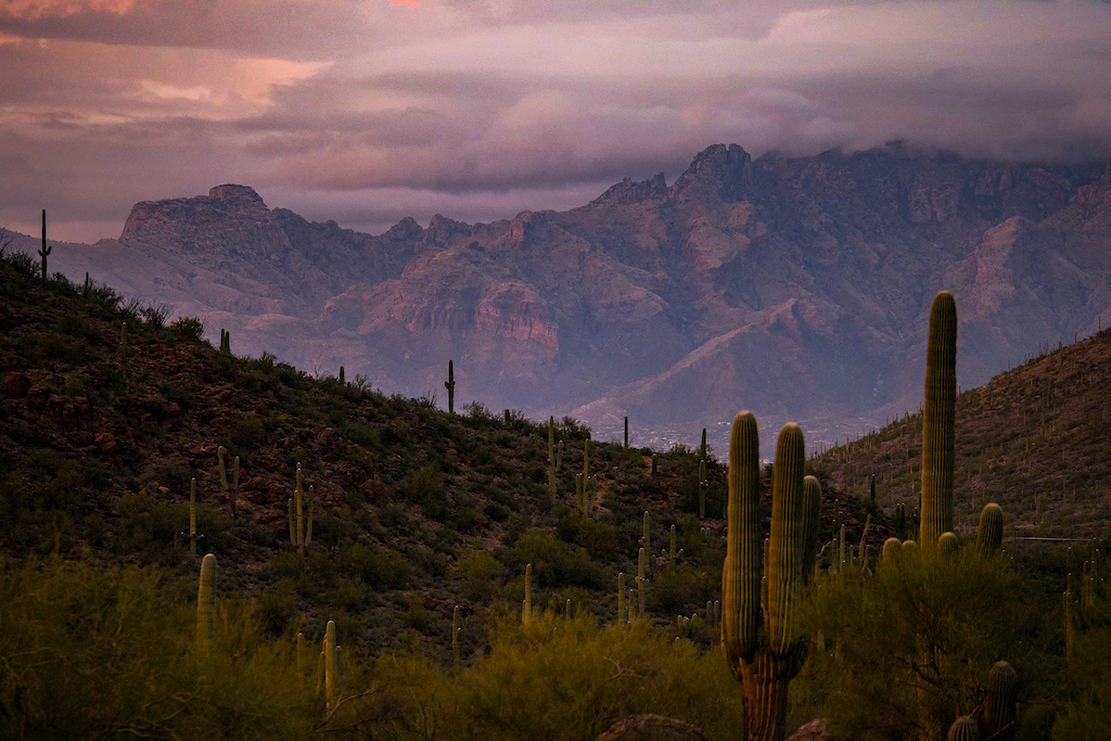 images from Underexposed Tucson AZ