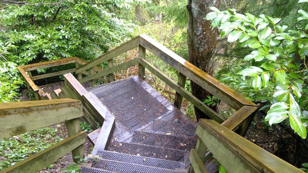 A photograph of the stairs at the south end of the June Smith Trail.