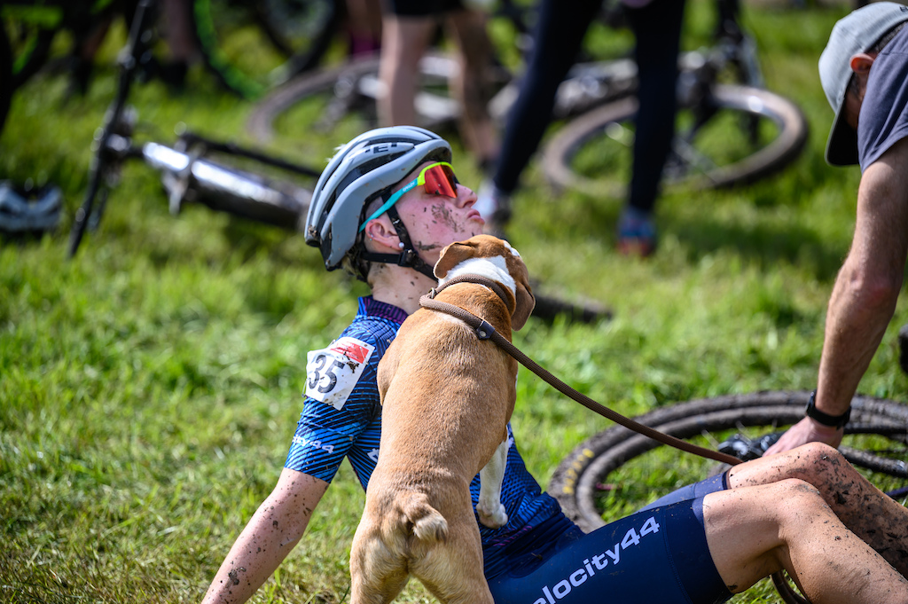 Sloppy dog kisses to help you recover post race