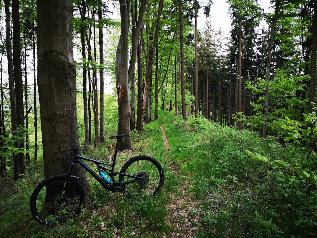 Początek od Przełęczy pod Wawrzyniakiem (586 m npm) jest ładny.