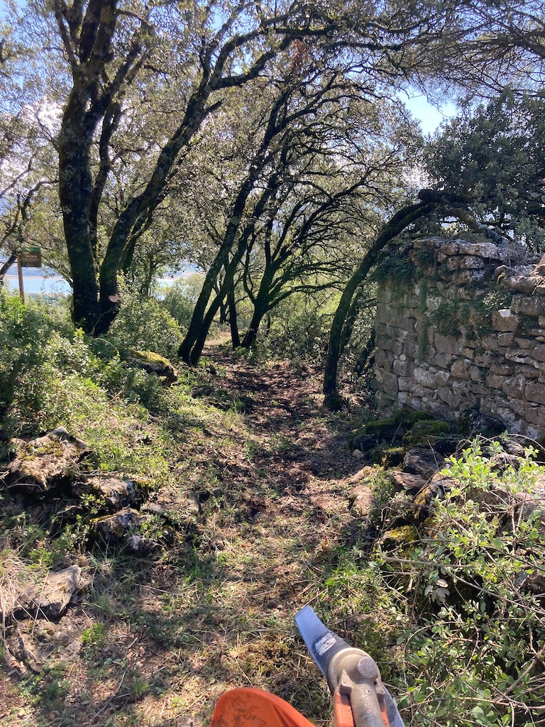 A hiker on a shaded trail past old stone ruins with gnarled trees overhead.