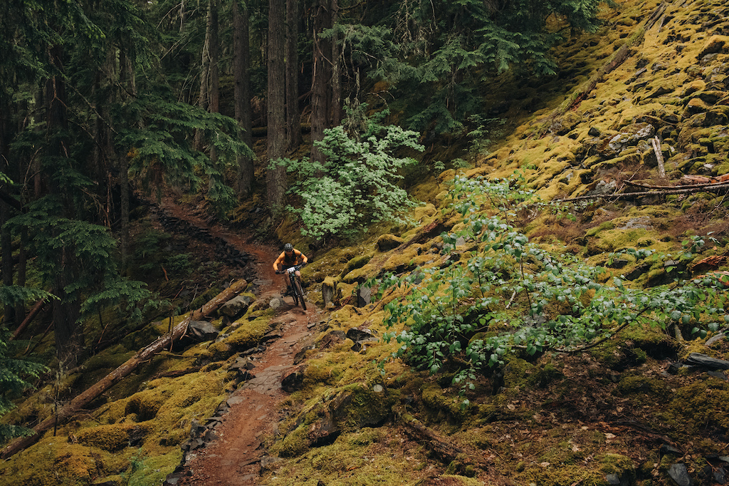 Photo Credit: Margus Riga