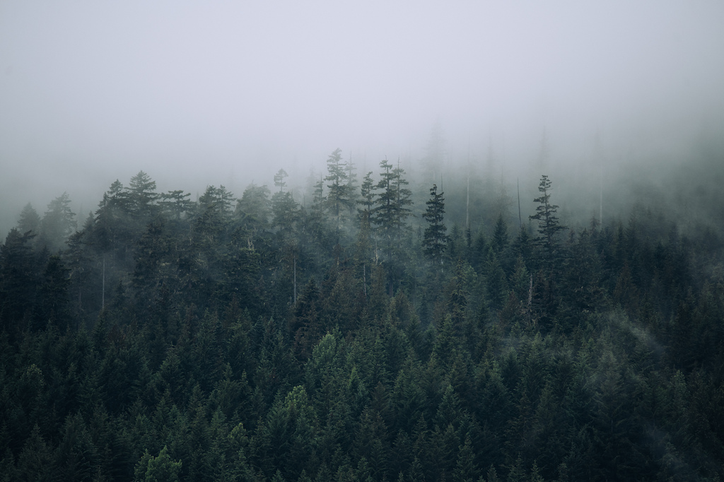 Photo Credit: Margus Riga