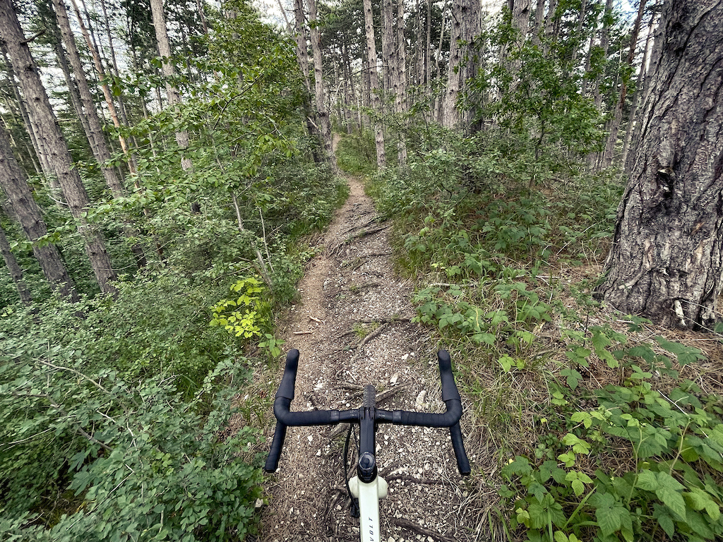 Trail im ersten Drittel