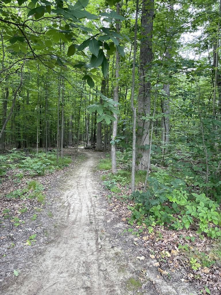 typical trail section