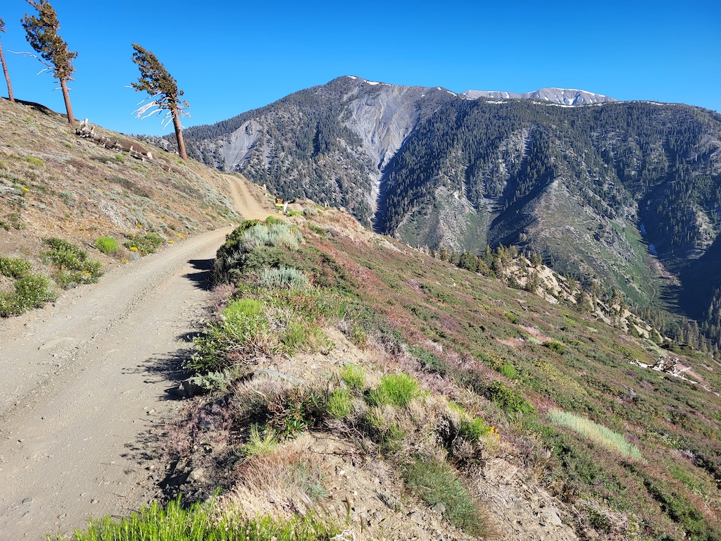 Guffy CG turn-off to the left.  Pine Mountain (C) and Mount Baldy (R) background.