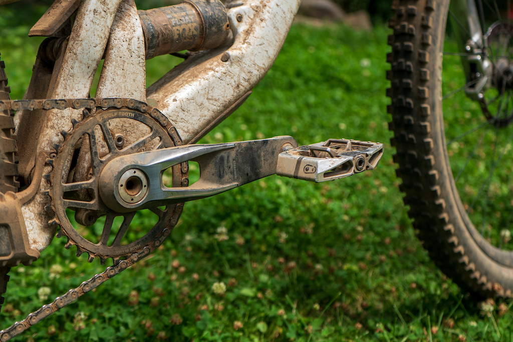 Staff Ride: Dario's Downieville Santa Cruz Tallboy - Pinkbike