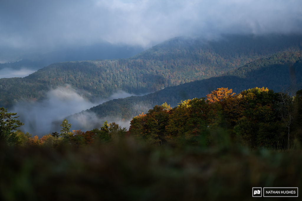 We won't forgert this epic autumn visit out to the misty mountains of WV.