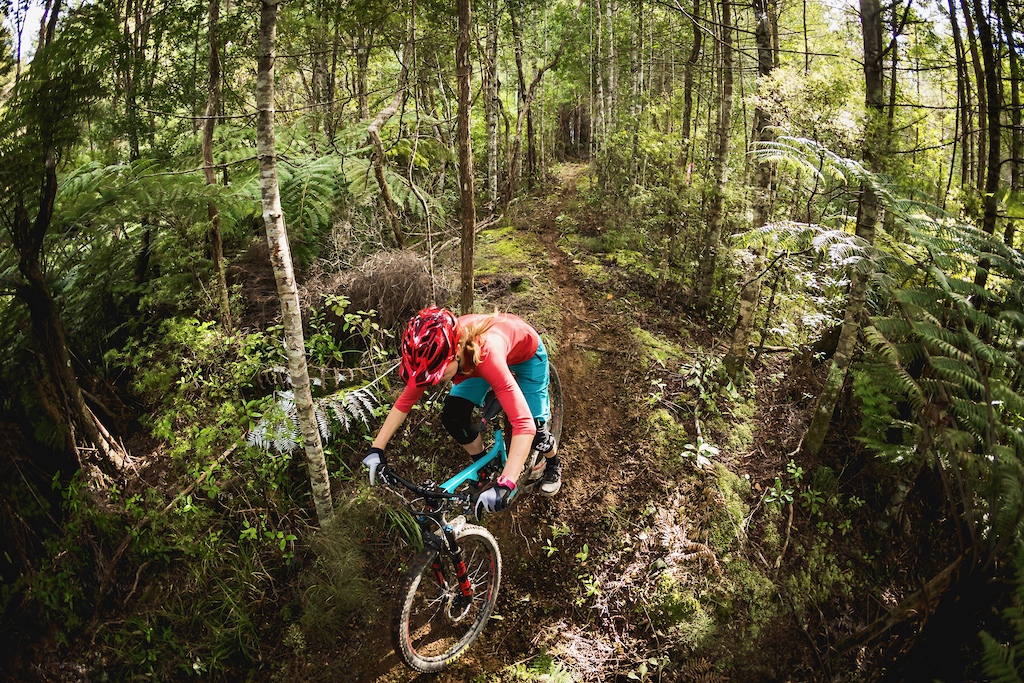 Fourforty MTB Park  Mountain bike park New Zealand