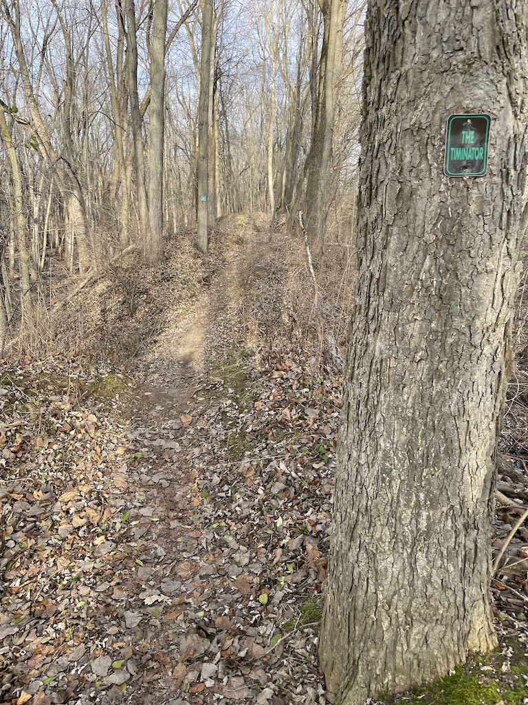 typical trail section