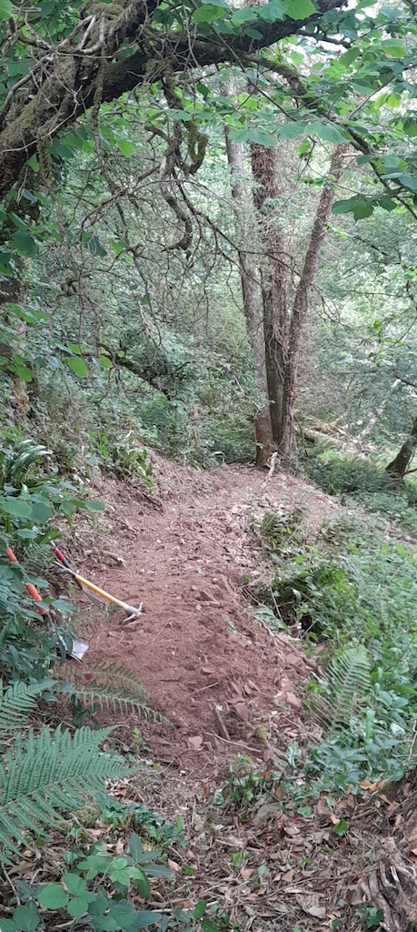 Pathway digging
