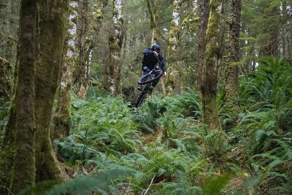 Jump over the ferns