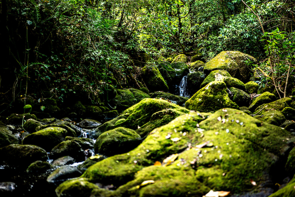 photos from Underexposed: Costa Rica