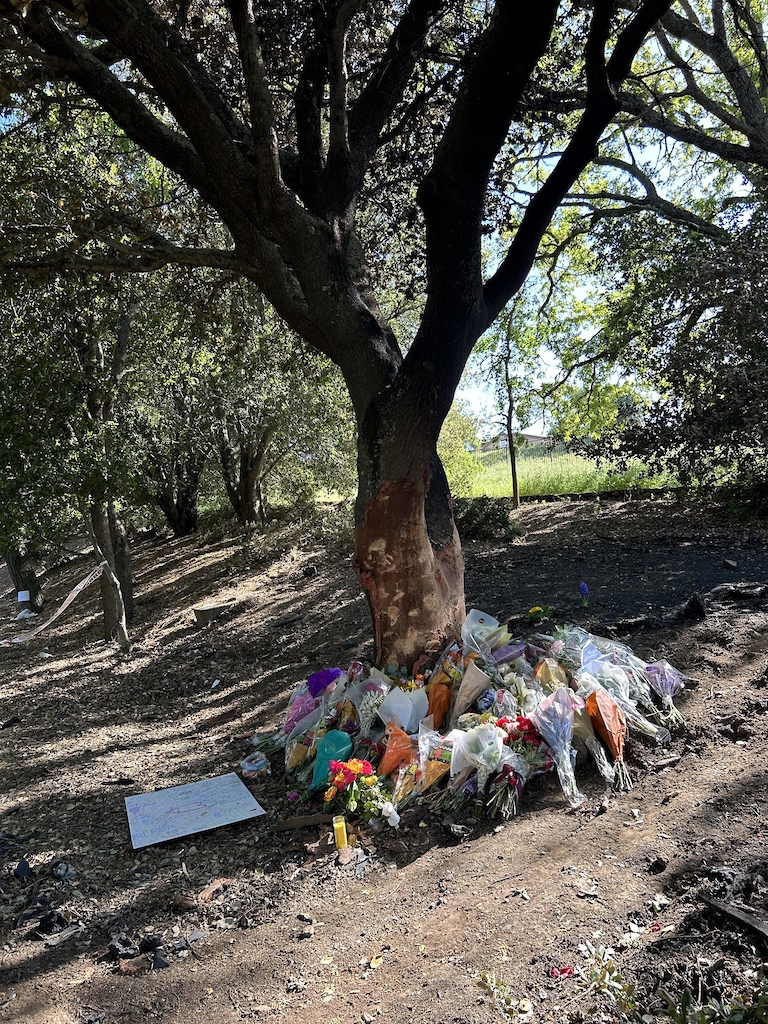 The growing memorial for the George family, who passed away tragically in a car accident.

https://www.kron4.com/news/bay-area/family-of-4-killed-in-pleasanton-crash-identified/