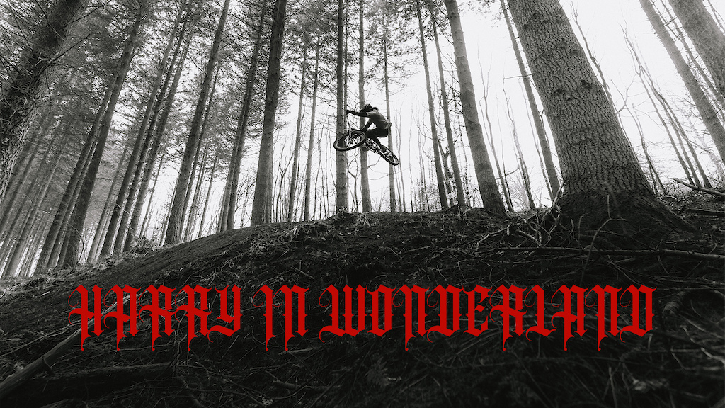 Harry in Wonderland