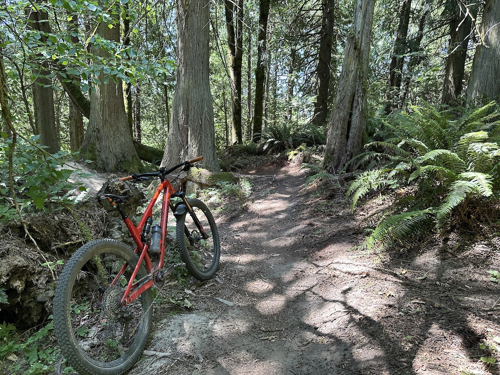 Just before things get steep and fun.