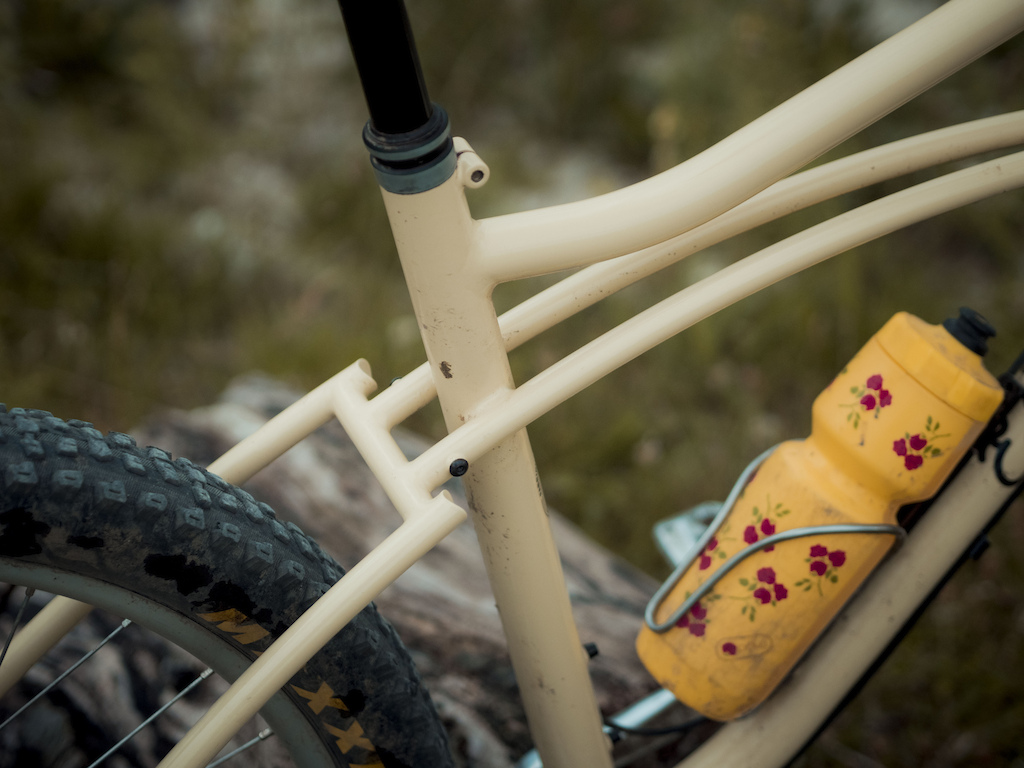 Edel Cycles custom hardtail