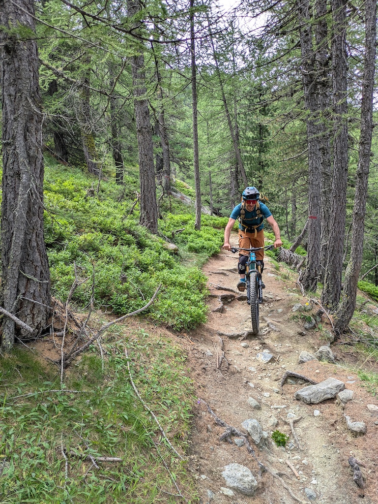 A mountain biker rides through a rocky, rooty forest trail with tall trees.