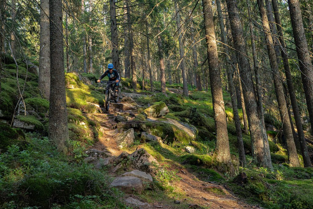 Summer on the home trails
