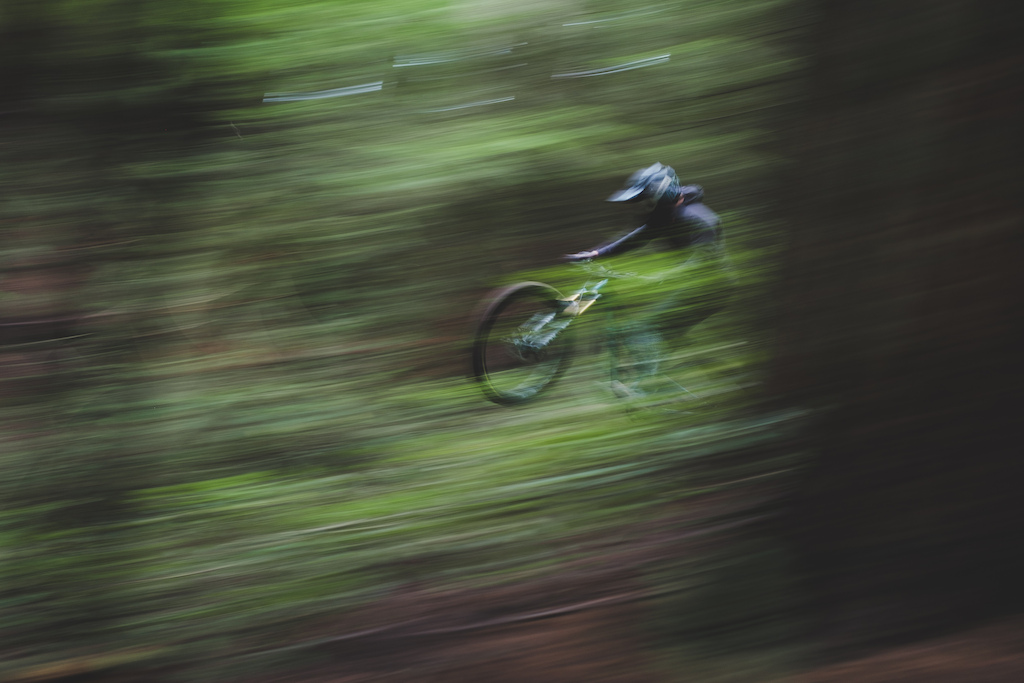 Tim Borrow Photo