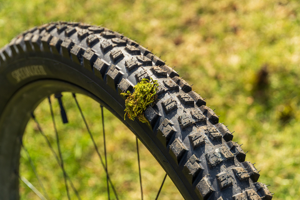 First Ride: Specialized's New Butcher & Eliminator Tires