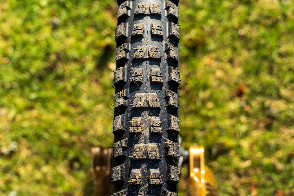 First Ride: Specialized's New Butcher & Eliminator Tires