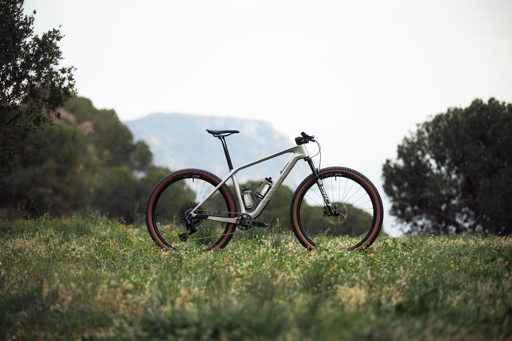 Canyon Announces New Exceed XC Hardtail - Pinkbike