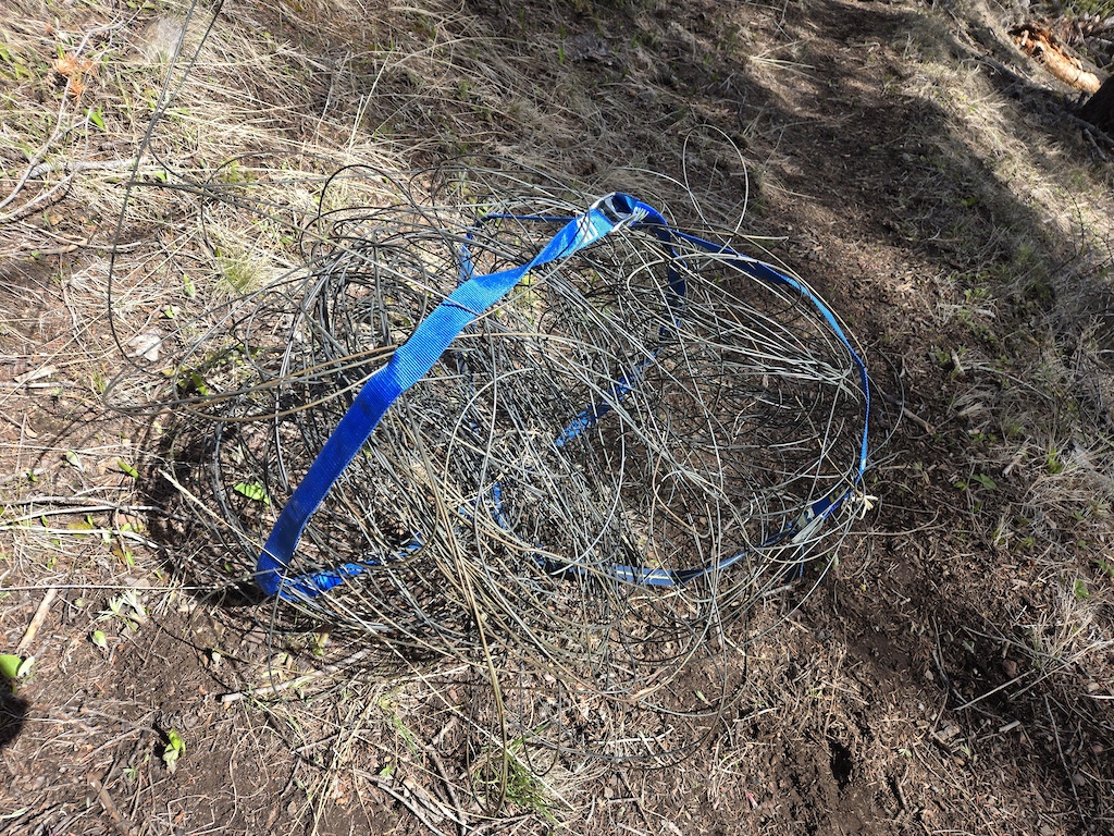 A blue bicycle frame abandoned in brush and dead vegetation on the ground.