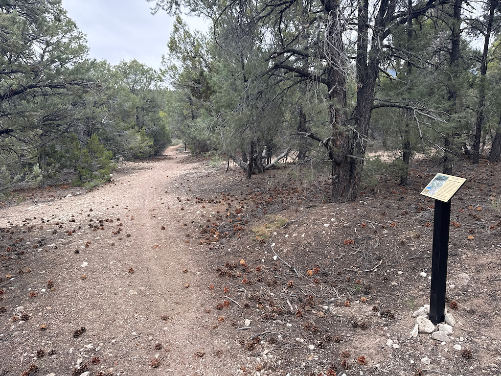 A sandy dirt trail winding through conifer forest with a trail marker sign visible.