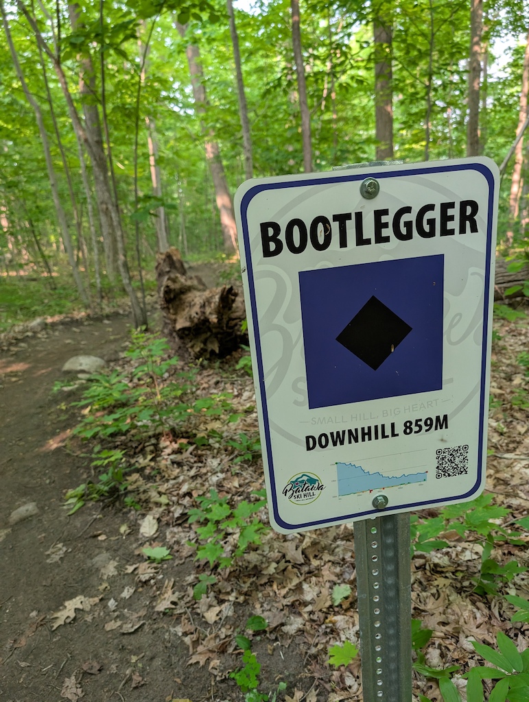 A trail sign for Bootlegger downhill trail in a forest.