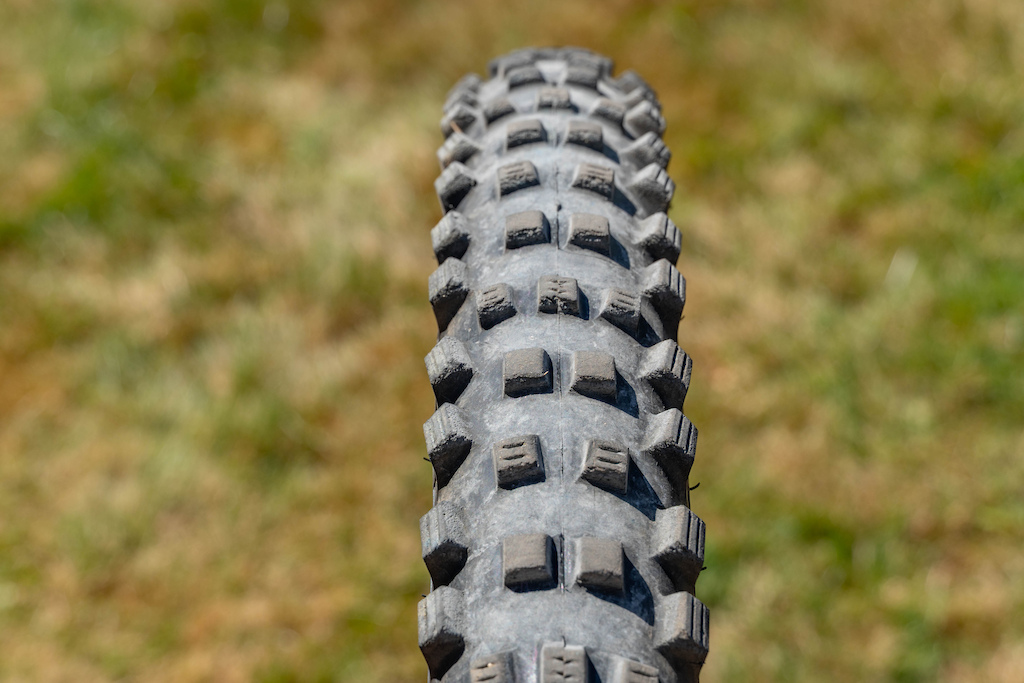 Giant - Mary Amazon.com : Schwalbe - Magic Mary Downhill and Enduro