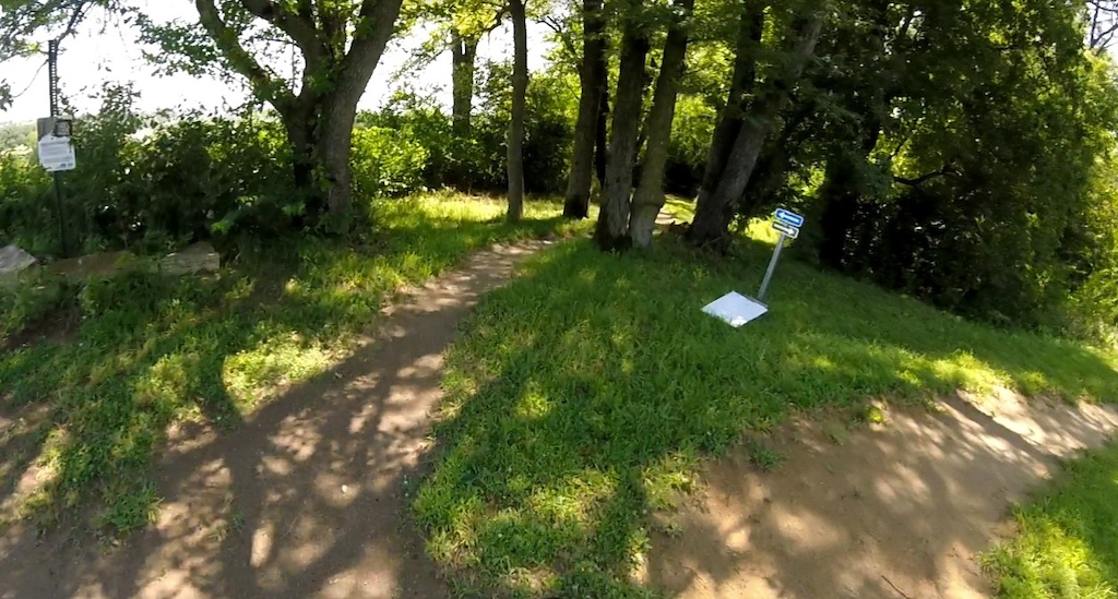 Intermediate (blue) to the left. Beginner (green) flow trail to the right.