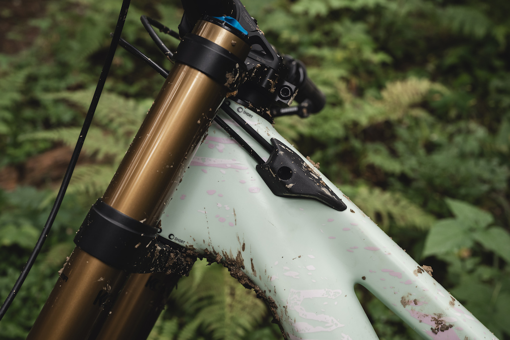 First Ride: 2026 Scott Gambler - The Swiss Army Knife of Gravity