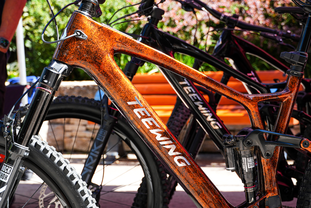 Rigs & Randoms of Crankworx Whistler 2025 - Pinkbike