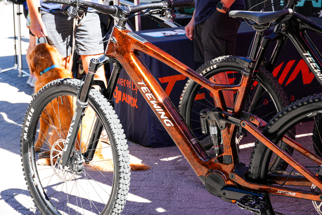 Rigs & Randoms of Crankworx Whistler 2025 - Pinkbike