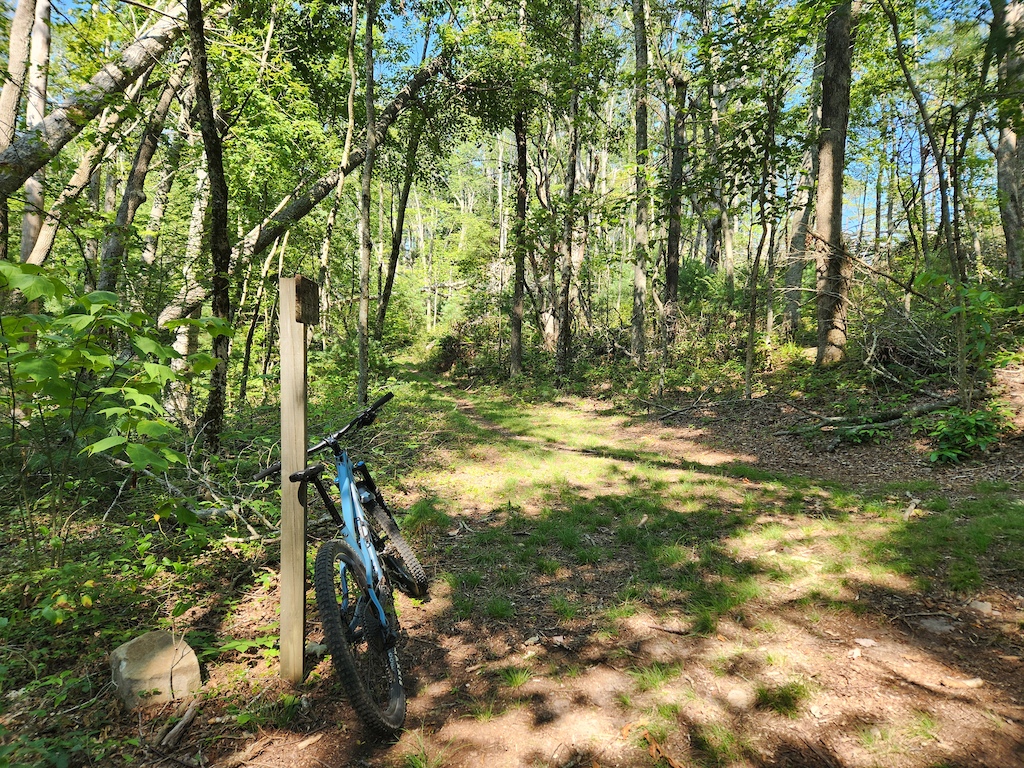 At the intersection of the Slaw Gap, Beartree Gap and Iron Mountain Trails.