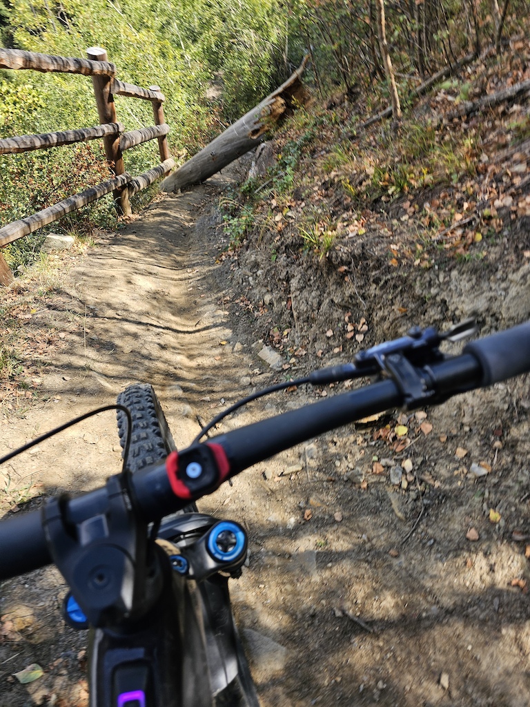 Close-up view from a mountain bike on a dirt trail through forest with wooden fencing.