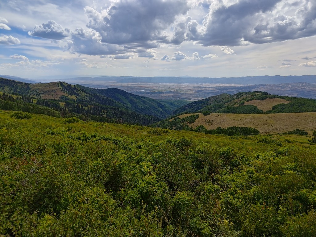 Rolling forested hills and valleys with open meadows under dramatic cumulus clouds.
