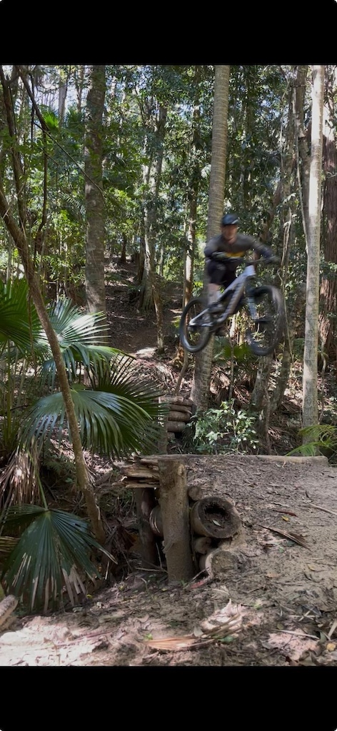 A mountain biker riding through a tropical forest with palm trees and wooden trail features.