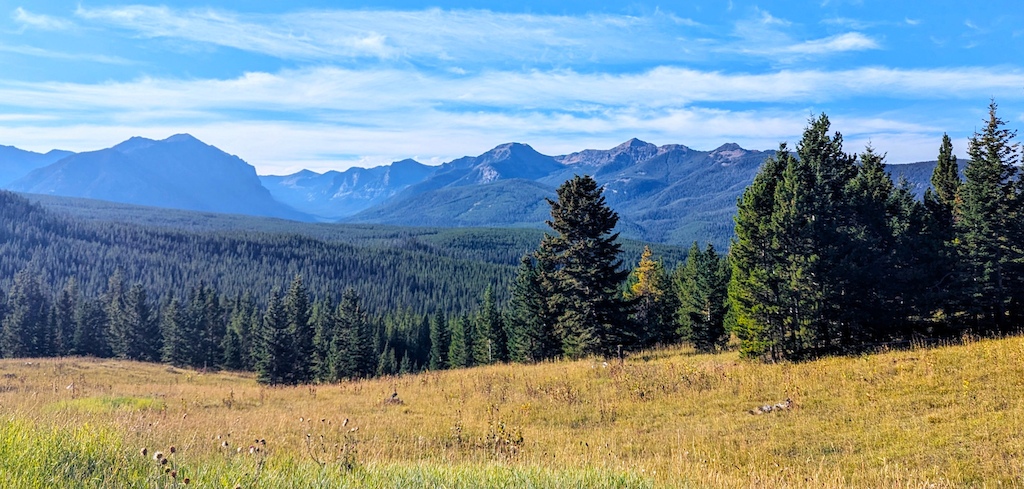 View of Blackmore from Upper Wildhorse/Lick Creek road/trail.  Well worth the climb.